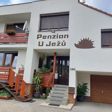 Penzion U Jezu - Ubytovani Pasohlávky Εξωτερικό φωτογραφία
