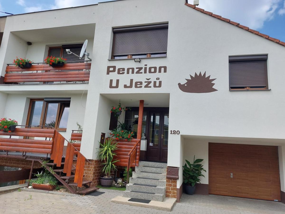 Penzion U Jezu - Ubytovani Pasohlávky Εξωτερικό φωτογραφία